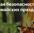 Соблюдайте правила пожарной безопасности в лесу! - Сетевое издание Деловой Кайтаг