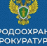 Дербентская межрайонная природоохранная прокуратура разъясняет изменения, внесенные в лесное законодательство. - Кайтагский район
