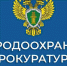 Дербентская межрайонная природоохранная прокуратура разъясняет изменения, внесенные в лесное законодательство. - Сетевое издание Деловой Кайтаг