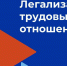 Сокращение неформальной занятости и легализация трудовых отношений - Сетевое издание Деловой Кайтаг
